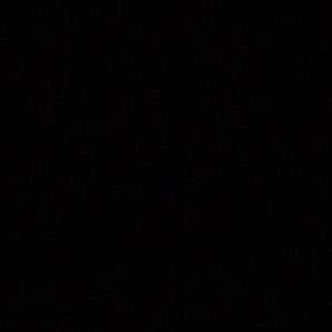 Meet your Posher, Lizzy